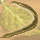 金うなぎ