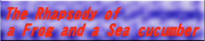 The Rhapsody of a Frog and a Sea cucumber